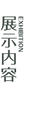 展示内容